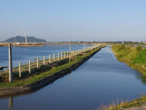 Thanh Hóa: Nứt đê sông Yên