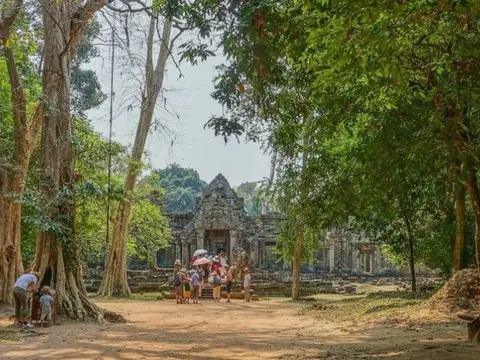 Láng giềng 'ngồi trên đống lửa' vì quy định khắt khe mới của EU, Việt Nam thích ứng ra sao?
