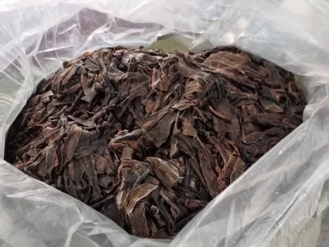 Thu giữ hơn 1 tạ giun đất đã sấy khô trên ô tô 4 chỗ