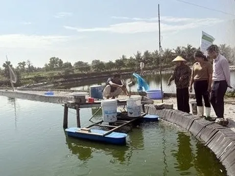 Quảng Ninh: Rà soát phân bổ 250 tỷ đồng cho vay hỗ trợ tạo việc làm