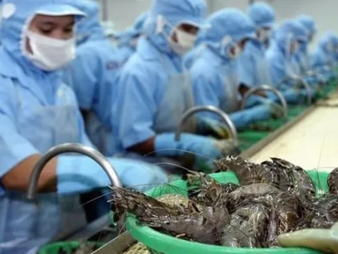 Hoa Kỳ tăng điều tra chống lẩn tránh thuế với hàng hóa nhập khẩu, doanh nghiệp Việt làm gì để ứng phó?