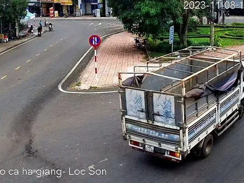 Lâm Đồng: Triệu tập tài xế xe tải gây tai nạn rồi bỏ chạy ở Tp.Bảo Lộc