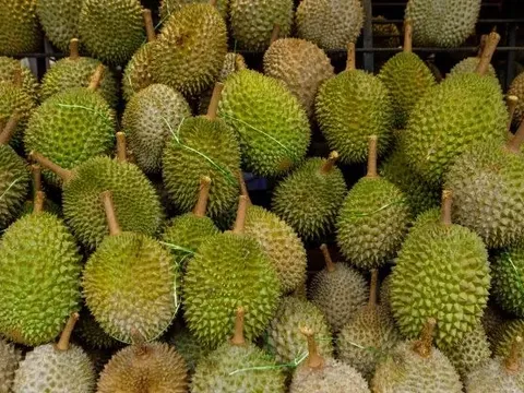 Tình cảnh trái ngược của 2 loại trái cây đặc sản Việt Nam