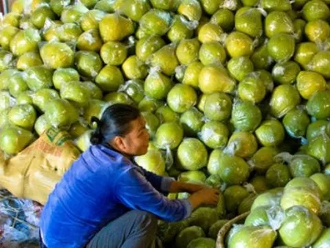 Được người Mỹ ưa chuộng hơn hàng 'made in China', loại quả 'bá vương' của Việt Nam làm mưa làm gió xứ cờ hoa, thu về hàng chục triệu USD