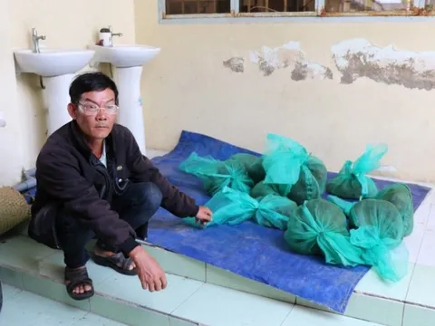 Kiên Giang: Bắt quả tang đối tượng vận chuyển động vật quý hiếm