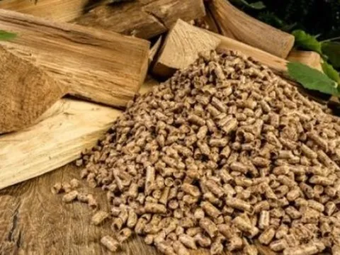 Việt Nam sở hữu “cây kim tiền” được Mỹ và Trung Quốc đua nhau mua hàng: Thu về gần 11 tỷ USD trong 10 tháng đầu năm, nước ta là “trùm” đứng thứ 5 thế giới