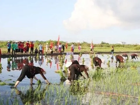 Quảng Ninh có thêm 4 di sản văn hóa phi vật thể quốc gia