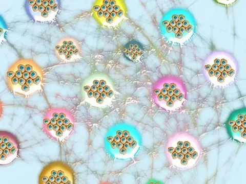 Phát hiện đột phá giúp dự đoán 32 loại ung thư