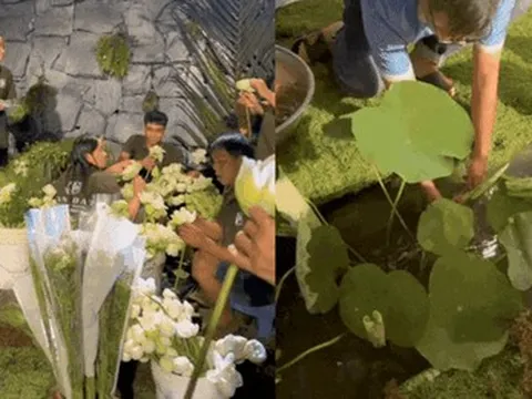 Đám cưới Puka - Gin Tuấn Kiệt ở Đồng Tháp: Decor công phu, mang vào sân nhà cả ao cá, thác nước với 2000 bông sen trắng