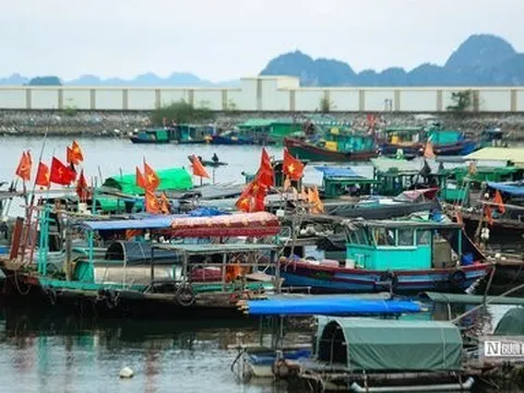 Quyết liệt triển khai các giải pháp trọng tâm chống khai thác IUU