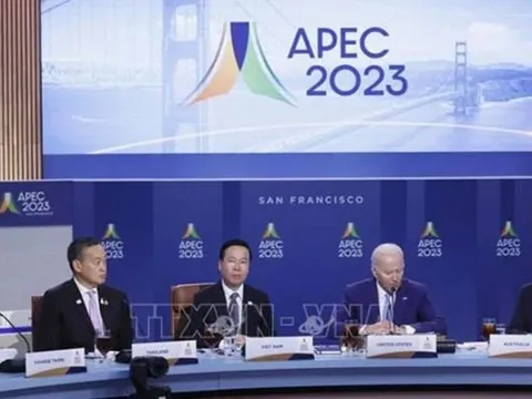 Việt Nam kêu gọi APEC và các đối tác đẩy mạnh hợp tác về năng lượng tái tạo