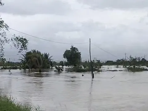 Khánh Hòa: Một học sinh tử vong do rơi xuống mương nước