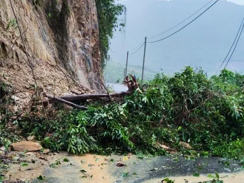 Đà Nẵng: Mưa lớn gây sạt lở đèo La Ngà