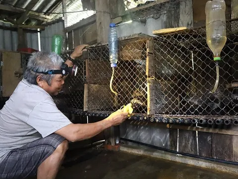 Người dân hé lộ cách nuôi động vật hoang dã quý hiếm để làm giàu
