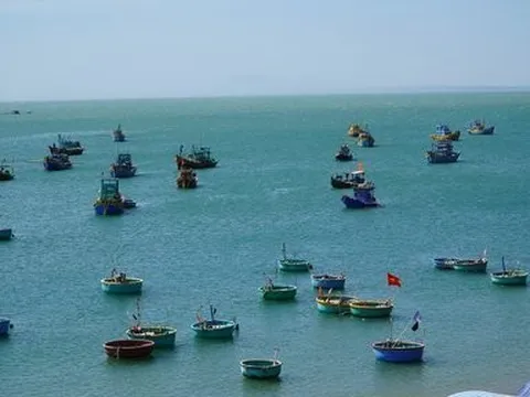 Bình Thuận: Tích cực tìm kiếm 14 ngư dân gặp nạn trên biển