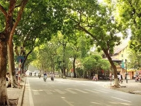 Thời tiết Hà Nội ngày nắng, rét về đêm và sáng