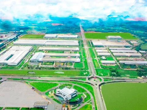 Tập đoàn từng chi 1 tỷ USD đầu tư vào Vinamilk và REE vừa rót 350 triệu USD mua trái phiếu chuyển đổi của THACO