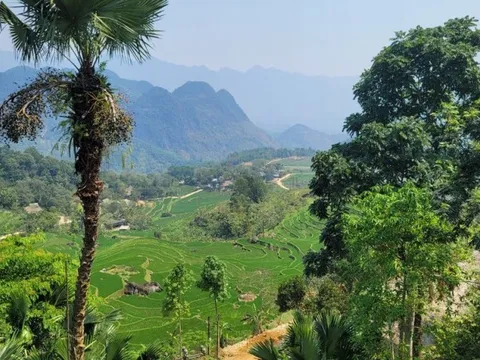 Tin đồn nữ nhân viên karaoke lây truyền HIV cho 70 người sai sự thật