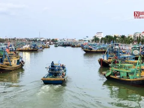 Vụ tàu cá bị tàu vận tải đâm chìm: Tìm thấy thi thể ngư dân mất tích