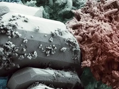 Công nghệ sinh học tạo ra loại bê tông mới có thể tự vá các vết nứt