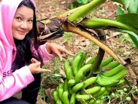 "Nữ hoàng cảnh nóng" tình trường trắc trở, giờ bình yên bên cơ ngơi 5.000 m2