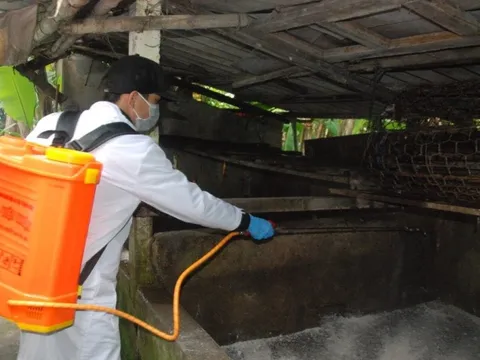 Miền Trung khẩn trương phòng chống bệnh dịch tả lợn châu Phi