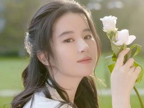 Mối tình duy nhất được Lưu Diệc Phi công khai