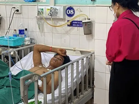 Ăn thịt cóc, 1 người chết, 1 người nguy kịch