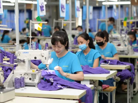 Hanosimex và Vinatex đồng loạt muốn thoái toàn bộ vốn tại Nguyên liệu Dệt may Việt Nam