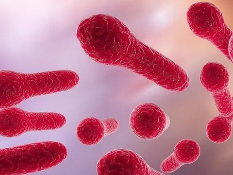 Hà Nội đã có 25 trường hợp mắc uốn ván, 3 người tử vong