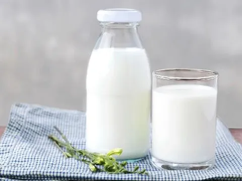 Hàng chục nghìn hộp sữa béo tăng cân do những công ty "ma" tung ra thị trường, VTV "điểm mặt": Ai đứng sau?