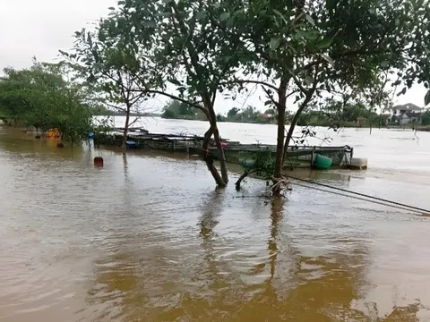 Mưa lớn gây ngập lụt, chia cắt nhiều vùng ở miền Trung