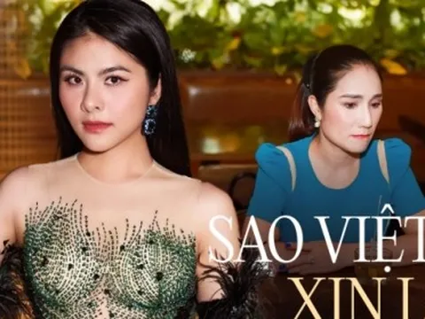 Sao Việt xin lỗi online và… hết!