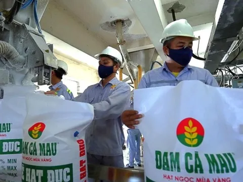 Đạm Cà Mau muốn kiếm tiền từ quảng cáo