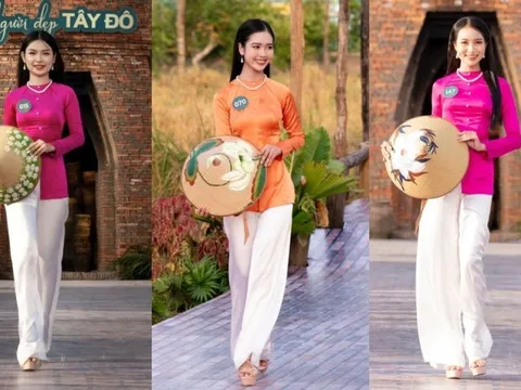 Người đẹp Tây Đô: 25 thí sinh lọt vào chung kết