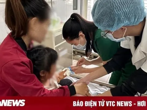 Bị chó Pitbull dại tấn công vào mặt, bé 4 tuổi phải khâu hàng chục mũi