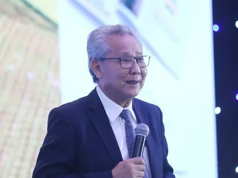 Có thể thu được hàng tỷ USD từ... vỏ trấu