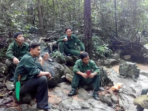 Phía sau những cánh rừng: Đắk Lắk triển khai đồng bộ nhiều giải pháp