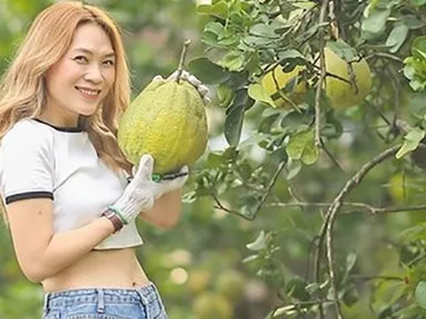 Mỹ Tâm khoe khu vườn ngập tràn hoa thơm, trái ngọt trong cơ ngơi “đi mỏi chân không hết”