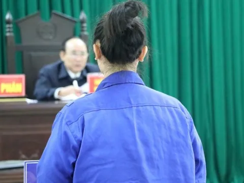 Lời khai của "nữ quái" lừa góp vốn kinh doanh chiếm đoạt hàng tỷ đồng