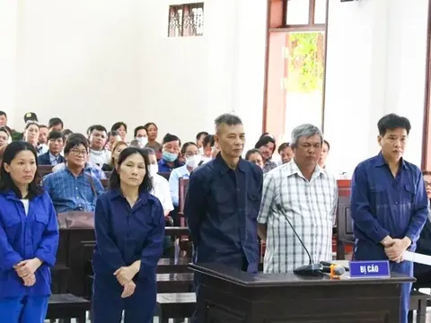 Đồng Nai: Xét xử vợ chồng chủ Công ty CP Sài Gòn Cây Cảnh