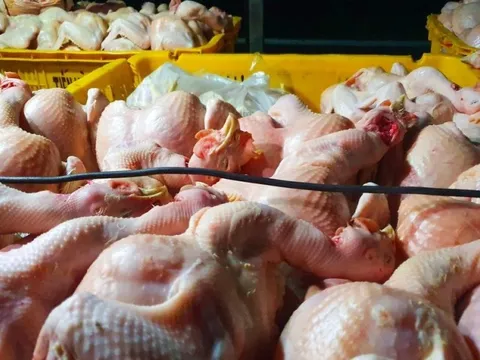 Đồng Nai: Phát hiện 350kg thực phẩm không đảm bảo vệ sinh