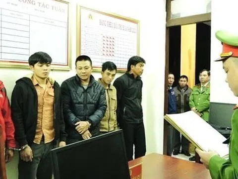 Quảng Bình: Tạm giam 5 đối tượng trộm hơn 40 tấn cây keo trong đêm