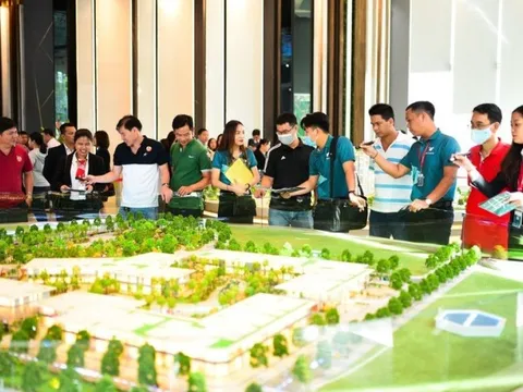 Từ năm 2025, môi giới bất động sản không được hành nghề tự do