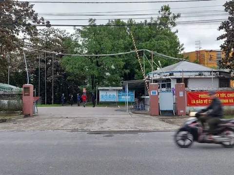 Đà Nẵng: 1.250 người nguy cơ ngừng việc ngay trước Tết