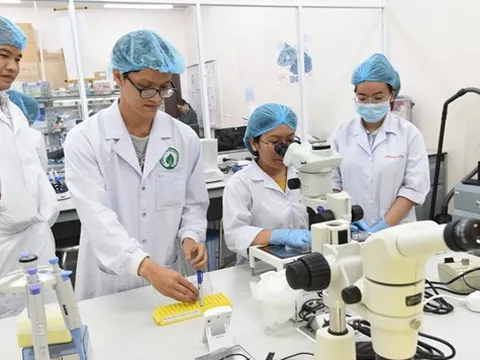 Công bố 9 thủ tục hành chính mới ban hành lĩnh vực sở hữu trí tuệ