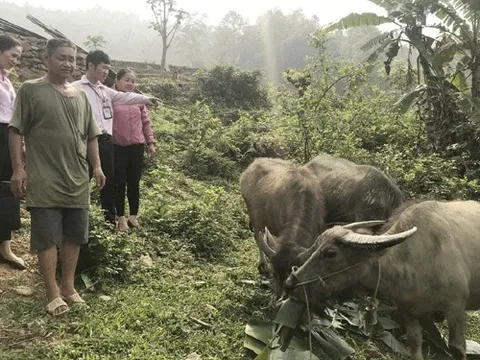 Tam Kim đổi thay từ nguồn vốn chính sách