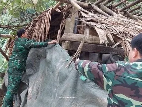 Tăng cường phòng chống rét cho đàn gia súc ở Nghệ An