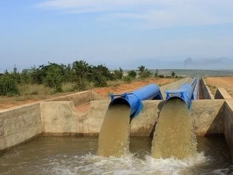 Khởi tố nguyên Giám đốc Công ty khai thác công trình thủy lợi BìnhThuận