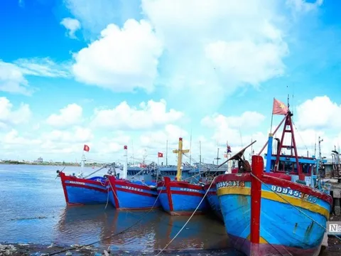 Triển khai các nhiệm vụ, giải pháp cấp bách gỡ “thẻ vàng” IUU